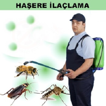 Kuyucak Böcek İlaçlama